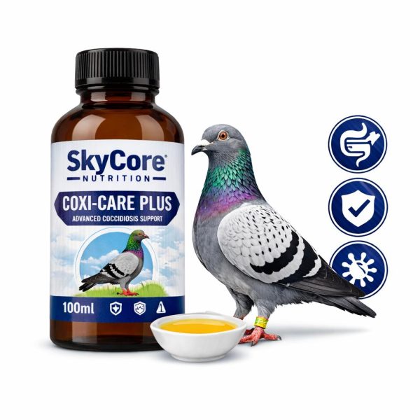 COXI-CARE PLUS