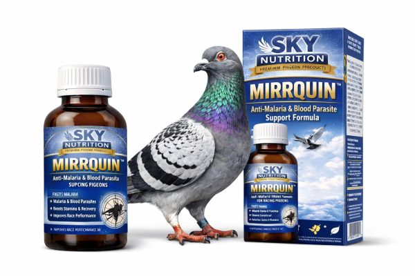 MIRRQUIN